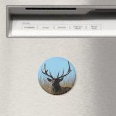 E26 Bull Elk Liggend in het Onkruid Magneet (Insitu (Vaatwasser))