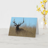 E26 Elk legmateriaal in onkruid Kaart (Gele Bloem)