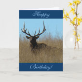 E26 Elk legmateriaal in onkruid Kaart (Gele Bloem)