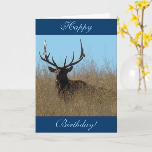 E26 Elk legmateriaal in onkruid Kaart (Gele Bloem)