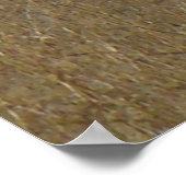 E26 Elk legmateriaal in onkruid Poster (Hoek)