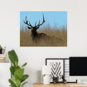 E26 Elk legmateriaal in onkruid Poster (Thuiskantoor)