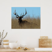 E26 Elk legmateriaal in onkruid Poster (Keuken)