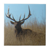 E26 Elk legmateriaal in onkruid Tegeltje (Voorkant)