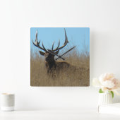 E26 Elk legmateriaal in onkruid Vierkante Klok (Huis)