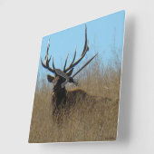 E26 Elk legmateriaal in onkruid Vierkante Klok (Hoek)