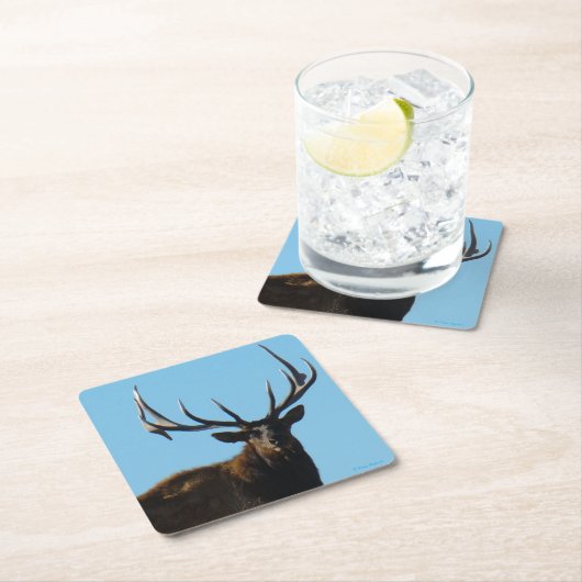 E27 Big Bull Elk Skylining Kartonnen Onderzetters (Insitu)