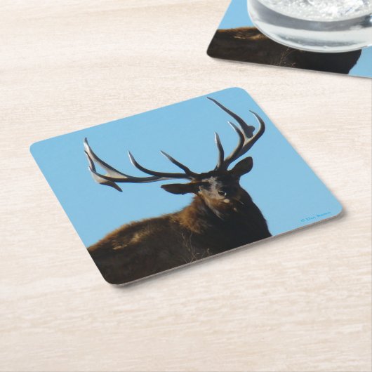 E27 Big Bull Elk Skylining Kartonnen Onderzetters (Schuin)