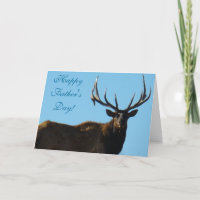 E27 Bull Elk Sky