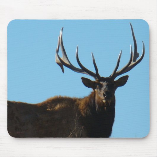 E27 Wapiti aan de hemel Muismat (Voorkant)