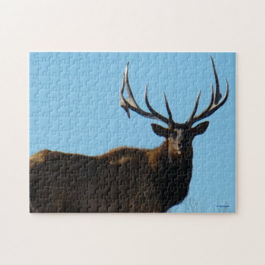 E27 Wapiti Stier Tegen De Lucht Afgetekend Legpuzzel (Horizontaal)