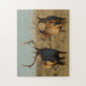 E28 Bull Elk op stap Legpuzzel (Verticaal)