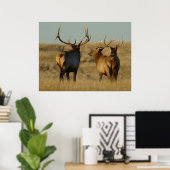 E28 Bull Elk Poster (Thuiskantoor)