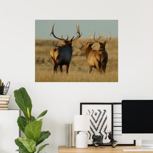 E28 Bull Elk Poster (Thuiskantoor)