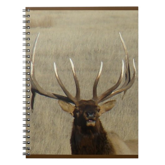 E29 Bull Elk Head Shot Notitieboek (Voorkant)