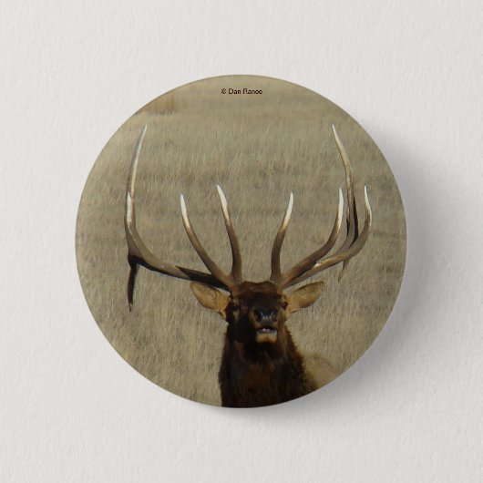 E29 Bull Elk Head Shot Ronde Button 5,7 Cm (Voorkant)