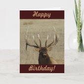 E29 Bull Elk hoofd Kaart (Voorkant)