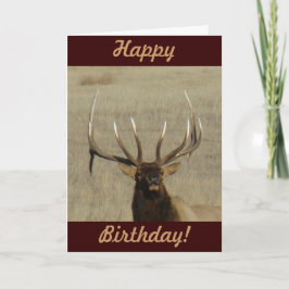 E29 Bull Elk hoofd Kaart