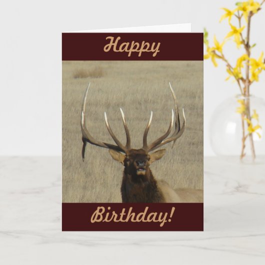 E29 Bull Elk hoofd Kaart (Gele Bloem)