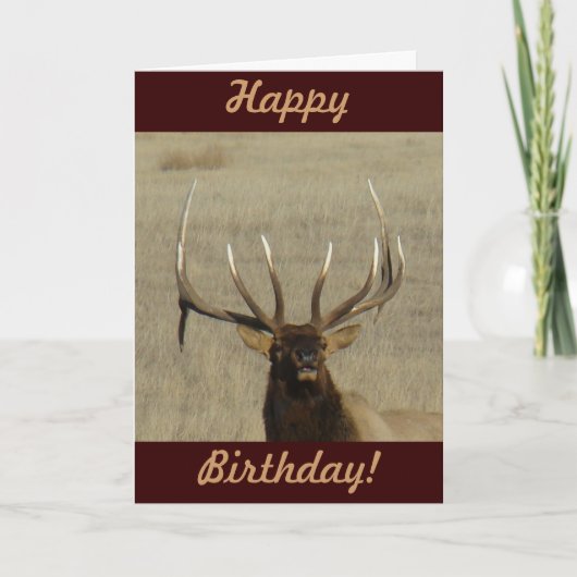 E29 Bull Elk Kop Kaart (Voorkant)