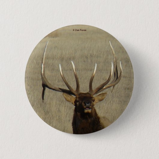 E29 Stierelk Kop Schot Ronde Button 5,7 Cm (Voorkant)