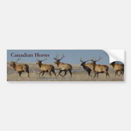 E2 Bull Elk lopend Bumpersticker