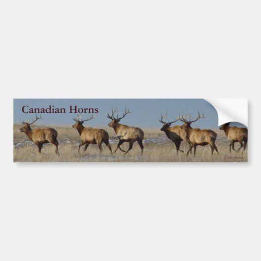 E2 Bull Elk Rent Bumpersticker (Voorkant)