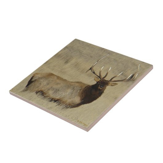 E30 Bull Elk Big Bull Tegeltje (Zijkant)