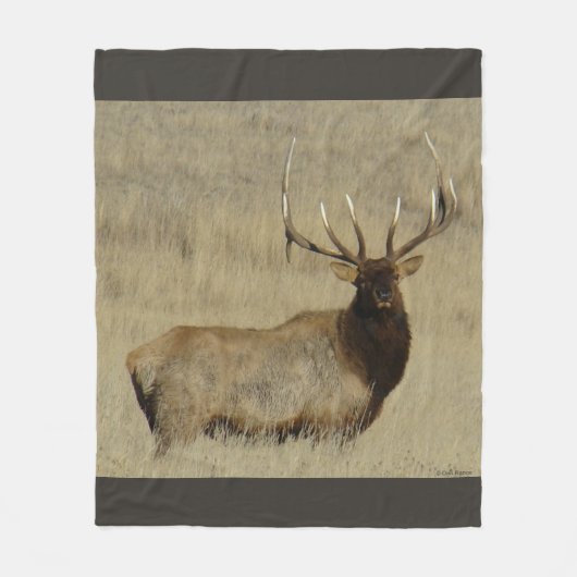 E30 Bull Elk Grote Stier Fleece Deken (Voorkant)