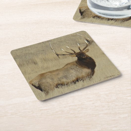 E30 Bull Elk Kartonnen Onderzetters (Schuin)