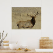 E30 Grote Bull Elk Stier Poster (Keuken)