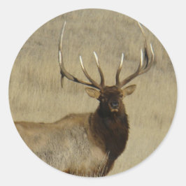 E30 Grote Stiereland Wapiti Ronde Sticker