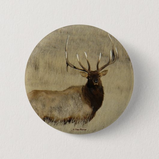 E30 Mannelijke Wapiti Ronde Button 5,7 Cm (Voorkant)