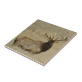 E30 mannetjeshert Grote stier Tegeltje (Zijkant)