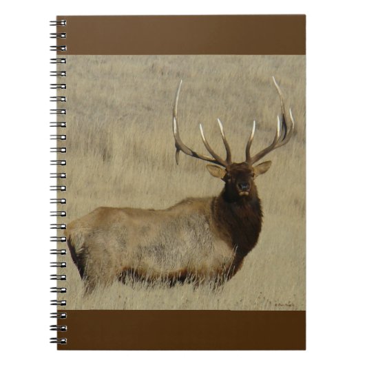 E30 Wapitihengst Grote Stier Notitieboek (Voorkant)