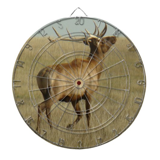 E35 Bull Elk Grass in Hoorns Dartbord (Voorkant)
