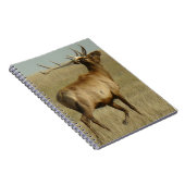 E35 Bull Elk Grass in Hoorns Notitieboek (Rechterzijde)