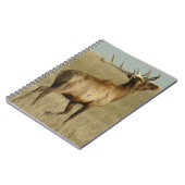 E35 Bull Elk Grass in Hoorns Notitieboek (Linkerzijde)