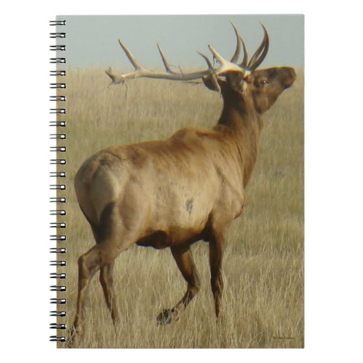 E35 Bull Elk Grass in Hoorns Notitieboek (Voorkant)