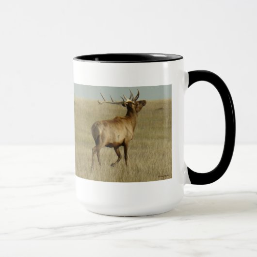 E35 Wapiti Gras in Gewei Mok (Rechts)
