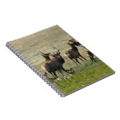 E36 Elkgroep bij waterpoel Notitieboek (Rechterzijde)