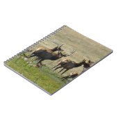E36 Elkgroep bij waterpoel Notitieboek (Linkerzijde)
