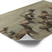 E37 Bull Elk met Koeien Poster (Hoek)