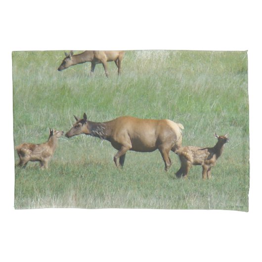 E3 Koe-eland en kalveren neus aan neus Kussensloop (Voorkant)