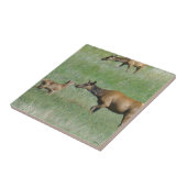 E3 Koe Elk en Calf Nose aan Nose Tegeltje (Zijkant)