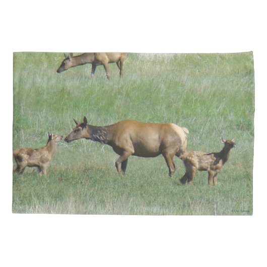 E3 Koe Elk en Calves Nose t/m Nose Kussensloop (Achterkant)