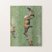 E3 Koe Elk en Calves Nose t/m Nose Legpuzzel (Verticaal)