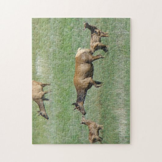 E3 Koe Elk en Calves Nose t/m Nose Legpuzzel (Verticaal)