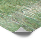 E3 Koe Elk en kalveren Poster (Hoek)