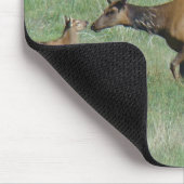 E3 Koe Elk en Young Muismat (Hoek)